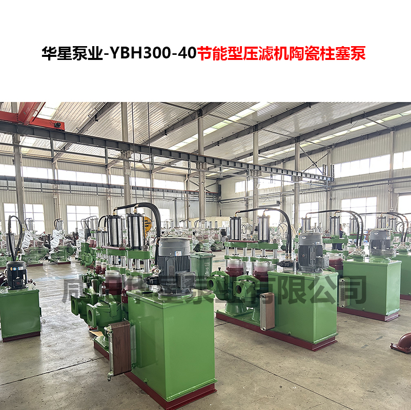 洗煤廠使用YBH300柱塞壓濾泵